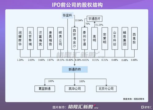 新通藥物沖刺科創(chuàng)板 尚未盈利的創(chuàng)新藥企，授權(quán)與合作開發(fā)模式下的機遇與挑戰(zhàn)